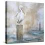 Coastal Birds I-Paula Giltner-Stretched Canvas