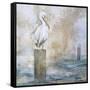 Coastal Birds I-Paula Giltner-Framed Stretched Canvas