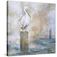 Coastal Birds I-Paula Giltner-Stretched Canvas