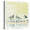 Coastal Birds II-Ken Hurd-Stretched Canvas