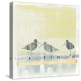 Coastal Birds II-Ken Hurd-Stretched Canvas