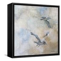 Coastal Birds II-Paula Giltner-Framed Stretched Canvas