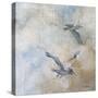 Coastal Birds II-Paula Giltner-Stretched Canvas