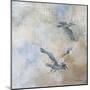 Coastal Birds II-Paula Giltner-Mounted Art Print