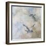 Coastal Birds II-Paula Giltner-Framed Art Print