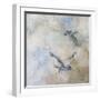 Coastal Birds II-Paula Giltner-Framed Art Print