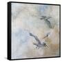 Coastal Birds II-Paula Giltner-Framed Stretched Canvas