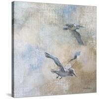 Coastal Birds II-Paula Giltner-Stretched Canvas