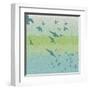 Coastal Birds Of Flight-Jace Grey-Framed Art Print