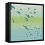 Coastal Birds Of Flight-Jace Grey-Framed Stretched Canvas