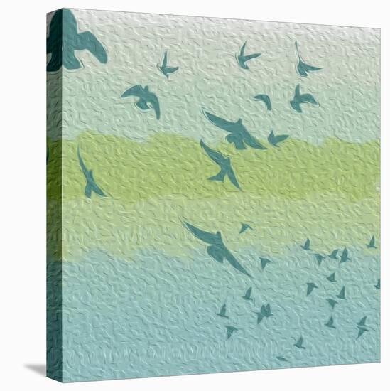 Coastal Birds Of Flight-Jace Grey-Stretched Canvas