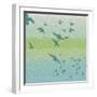 Coastal Birds Of Flight-Jace Grey-Framed Art Print