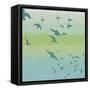 Coastal Birds Of Flight-Jace Grey-Framed Stretched Canvas