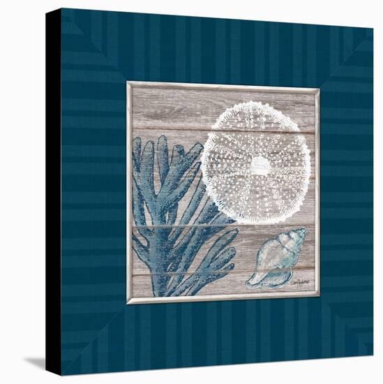 Coastal Bliss-Sam Appleman-Stretched Canvas