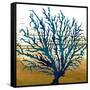 Coastal Blue II-Elizabeth Medley-Framed Stretched Canvas