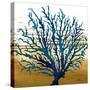 Coastal Blue II-Elizabeth Medley-Stretched Canvas