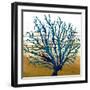 Coastal Blue II-Elizabeth Medley-Framed Art Print