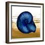 Coastal Blue IV-Elizabeth Medley-Framed Art Print