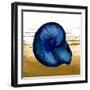 Coastal Blue IV-Elizabeth Medley-Framed Art Print