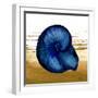 Coastal Blue IV-Elizabeth Medley-Framed Art Print