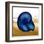 Coastal Blue IV-Elizabeth Medley-Framed Art Print