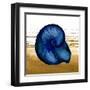 Coastal Blue IV-Elizabeth Medley-Framed Art Print