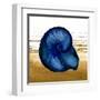 Coastal Blue IV-Elizabeth Medley-Framed Art Print