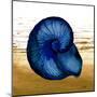 Coastal Blue IV-Elizabeth Medley-Mounted Art Print