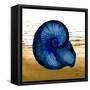 Coastal Blue IV-Elizabeth Medley-Framed Stretched Canvas