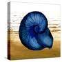 Coastal Blue IV-Elizabeth Medley-Stretched Canvas