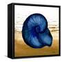 Coastal Blue IV-Elizabeth Medley-Framed Stretched Canvas