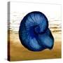 Coastal Blue IV-Elizabeth Medley-Stretched Canvas