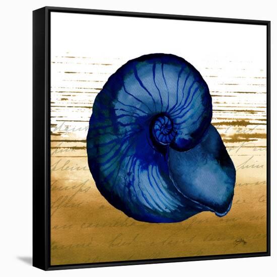 Coastal Blue IV-Elizabeth Medley-Framed Stretched Canvas