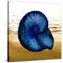 Coastal Blue IV-Elizabeth Medley-Stretched Canvas