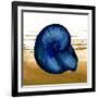 Coastal Blue IV-Elizabeth Medley-Framed Art Print