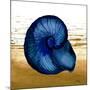 Coastal Blue IV-Elizabeth Medley-Mounted Art Print