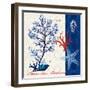 Coastal Botanical-Devon Ross-Framed Art Print
