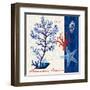 Coastal Botanical-Devon Ross-Framed Art Print