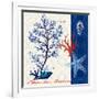 Coastal Botanical-Devon Ross-Framed Art Print