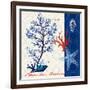 Coastal Botanical-Devon Ross-Framed Art Print