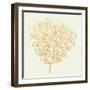 Coastal Breeze Shell Sketches I-Anne Tavoletti-Framed Art Print