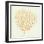 Coastal Breeze Shell Sketches I-Anne Tavoletti-Framed Art Print