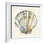 Coastal Breeze VII-Anne Tavoletti-Framed Art Print