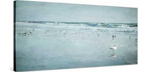 Coastal Breeze-Heather Jacks-Stretched Canvas