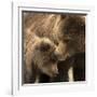 Coastal brown bear and cub, Lake Clarke National Park, Alaska-Danny Green-Framed Photographic Print