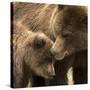 Coastal brown bear and cub, Lake Clarke National Park, Alaska-Danny Green-Stretched Canvas