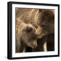 Coastal brown bear and cub, Lake Clarke National Park, Alaska-Danny Green-Framed Photographic Print