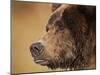 Coastal Brown Bear Fishing for Spawning Salmon Along Kinak Bay, Katmai National Park, Alaska, Usa-Paul Souders-Mounted Photographic Print