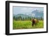 Coastal Brown Bear & Mountains-null-Framed Art Print