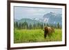 Coastal Brown Bear & Mountains-null-Framed Art Print